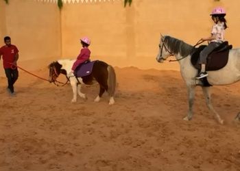 استراحة ببيت شعر وجلسة خارجة
