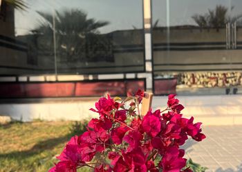 استراحة بجلسة خارجية و مجالس