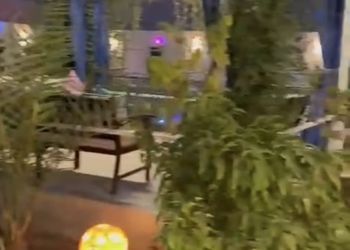 شاليه بجلسة تطل على مسبح خارجي 