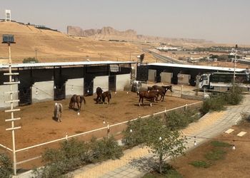 استراحة باسطبل خيل وصالة جلوس