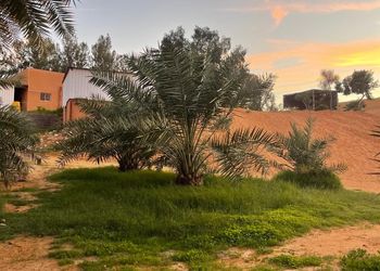 مزرعة بأجواء جميلة ومجالس واسعة