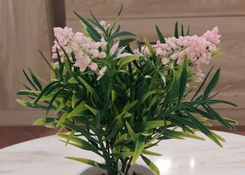 استديو بسرير ماستر وجلسه جانبيه
