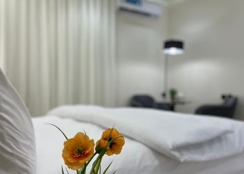 استديو هادئ بدخول ذاتي 6C