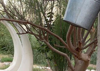 مزرعة بمسطح اخضر وجلسة خارجية