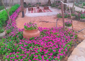 استراحة بمسطح اخضر ومجالس