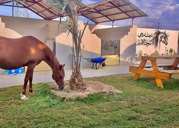 استراحة بجلسة خارجية واسطبل خيل