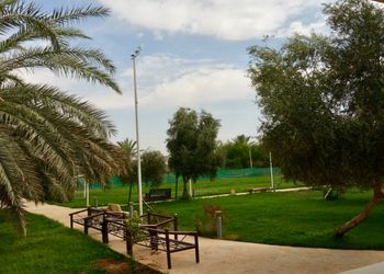 مزرعه بمجلسين وملعب كرة قدم و مطبخ