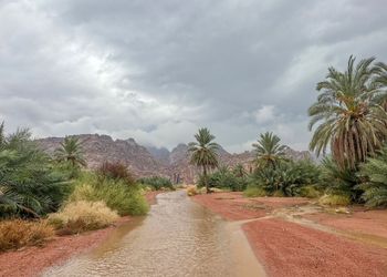 استراحة بغرفتين وصالة ومجلس