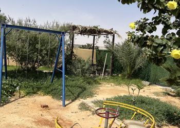 مزرعة بملاعب وإطلالة على النخيل 