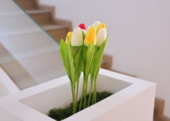 استديو بسرير ماستر وتصميم أنيق 