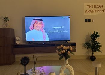 شقة بغرفة نوم وصالة 
