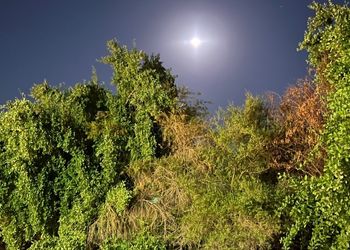 مزرعة بمناظر خلابة وجلسة خارجية 