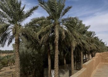 استراحة تراثيه بجلسه خارجيه 