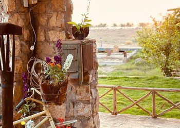مزرعة بمجالس واجواء ممتعة ومميزة