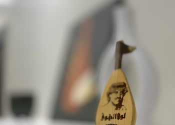 شقة بغرفة نوم وصالة 