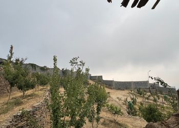 مزرعة مع غرف ومطبخ وحمام 