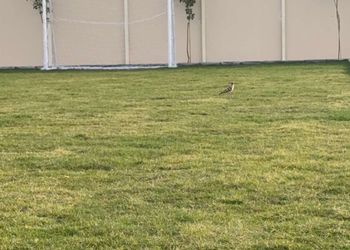 استراحة بداخل مزرعة بأجواء خلابة