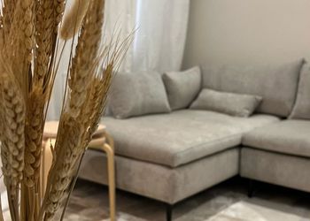 شقة بغرفة جلوس وغرفتين نوم 