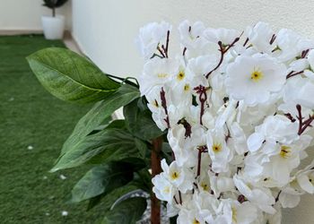 استديو بسرير ماستر  ودخول ذاتي 