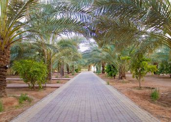 شاليه بمحمية طيور وجلسة خارجية 