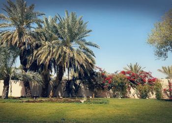 مزرعة بفيلا تراثية مودرن و إسطبل