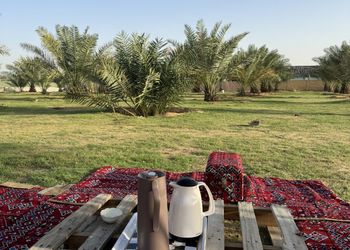 مزرعة بجلسة خارجية وأجواء ممتعة