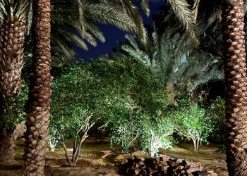 شاليه بمجلس وفناء خارجي