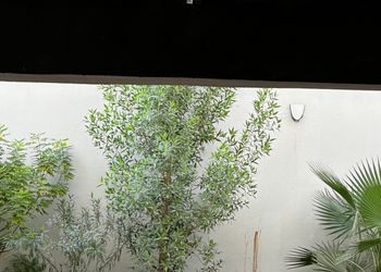 استديو بسرير ماستر ودخول ذاتي