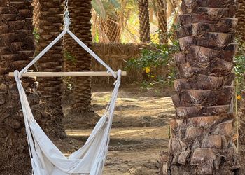 استراحة بصاله أنيقة وجلسة خارجية