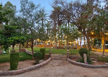 مزرعة بألعاب أطفال ومسبح