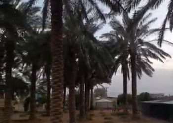 مزرعة بمجالس وبيت شعر 