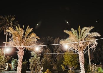 مزرعة بمسطحات خضراء وجلسة خارجية