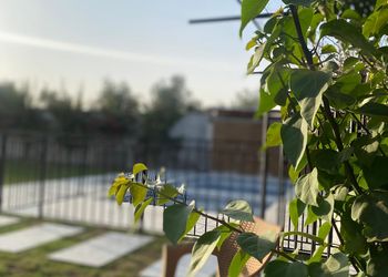 شاليه بجلسة خارجية ومسبح 