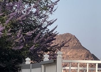 شاليه بمجلس وجلسة خارجية 