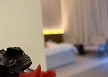 استديو بأثاث مريح وبسيط 