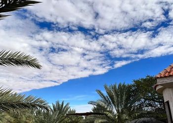 مزرعة بمسطحات خضراء وبيت شعر 