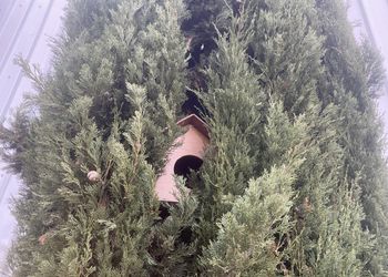 استراحة ومسطح اخضر 
