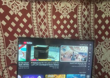 مخيم ببيت شعر وجلسة عريش 