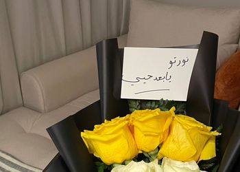 شقة بصالة وغرفة نوم