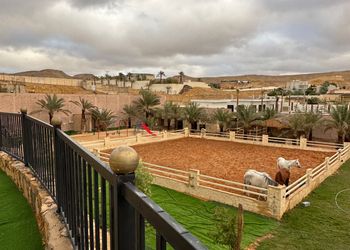 مزرعة بجلسة خارجية واسطبل خيل