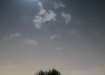 مخيم ببيت شعر وجلسة عريش 