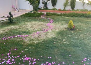 استراحة ومسطح اخضر 