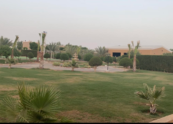 استراحة بمسطح اخضر والعاب اطفال