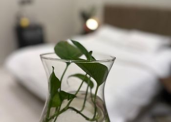 استديو بسرير ماستر وأثاث مريح 