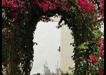 شالية بمجالس ومسطح اخضر