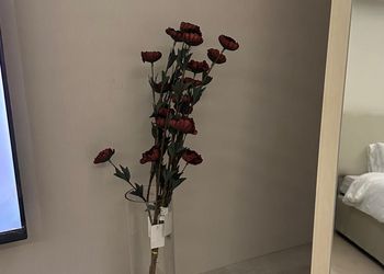 استديو هادئ بدخول ذاتي 