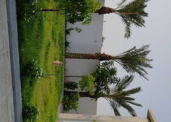 شقة بغرفتين نوم وصالة 