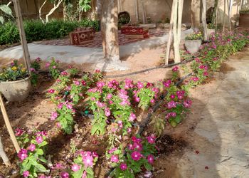 استراحة بمسطح اخضر ومجالس