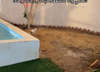شاليه بجلسة خارجية ومجلس