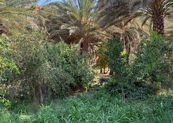 استراحة بجلسة خارجية و مجلس